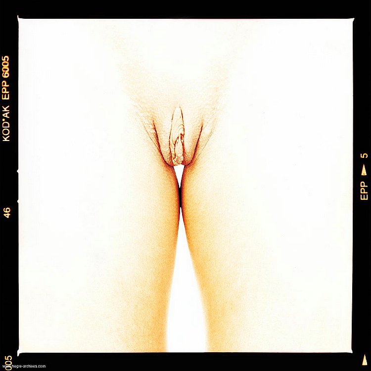 pussy 06